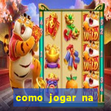 como jogar na teimosinha da lotofacil